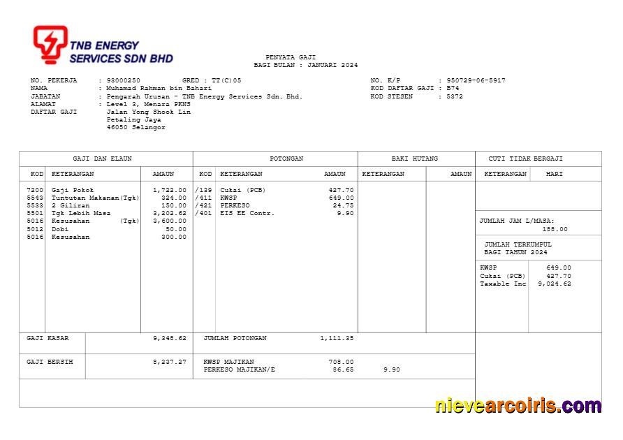 TNB Energy Services payslip